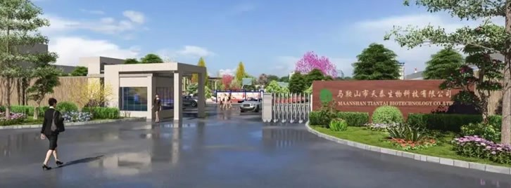 Timentall｜为全球家庭健康而生，以自然科技书写洁净新篇章