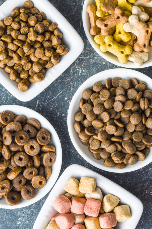 ‌铲屎官必看！5招让猫咪告别"蒲公英"模式